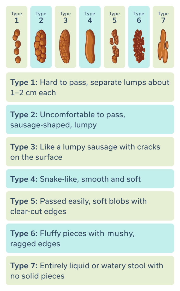 This Fantastically Accurate Bristol Stool Chart Rnurs - vrogue.co